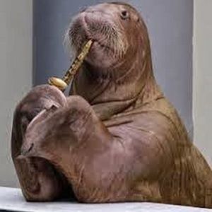 Meet your Posher, Kirsten